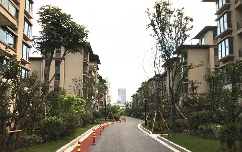 江蘇南通?國城璟府二層花園房別墅小電梯，二層別墅小電梯